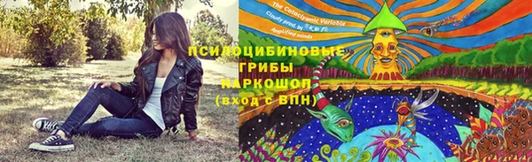 таблы Алексеевка